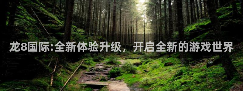 okooo澳客5招商：龙8国际:全新体验升级，开启全新的游戏世界