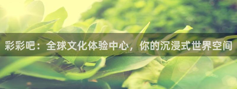 okooo澳客电子有限公司：彩彩吧：全球文化体验中心，你的沉浸式世界空间