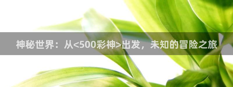 okooo澳客4：神秘世界：从<500彩神>出发，未知的冒险之旅